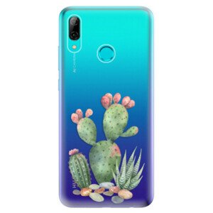 Odolné silikonové pouzdro iSaprio - Cacti 01 - Huawei P Smart 2019