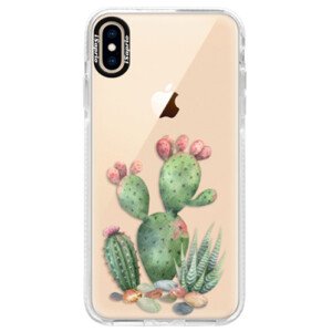 Silikonové pouzdro Bumper iSaprio - Cacti 01 - iPhone XS Max