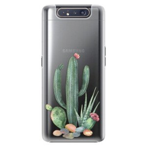 Plastové pouzdro iSaprio - Cacti 02 - Samsung Galaxy A80