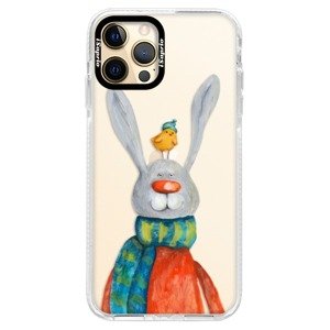 Silikonové pouzdro Bumper iSaprio - Rabbit And Bird - iPhone 12 Pro