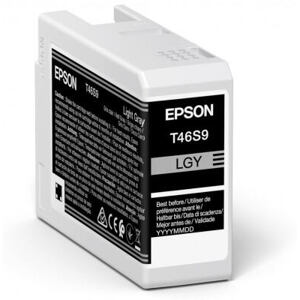 Epson Singlepack Light Gray T46S9 Ultrachrome C13T46S900