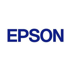 EPSON Ink Cartridge for Discproducer, Light Cyan C13S020689