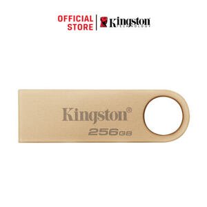 256GB Kingston USB 3.2 DTSE9 220/100MB/s DTSE9G3/256GB
